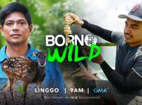 Born To Be Wild March 3 2024 Today Episode